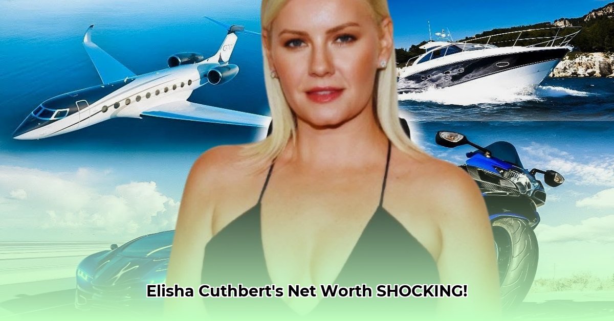 elisha-cuthbert-net-worth
